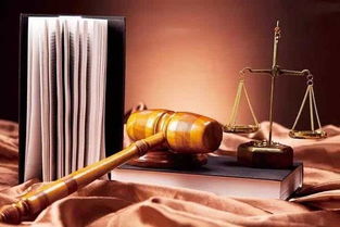 文物拍賣中權(quán)利競合關(guān)系的妥善處理